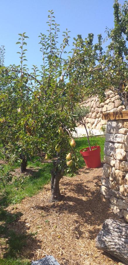 Gites De L'Alouette Boffres 外观 照片